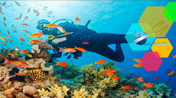 هزینه های تور قشم